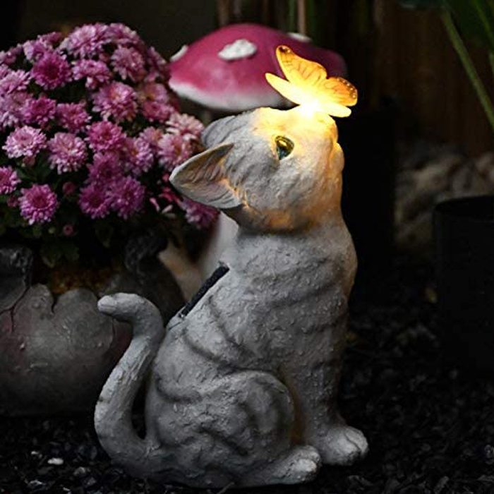 Solar-Katze mit Schmetterling