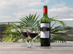 flaschenthermometer_fuer_wein_getraenke