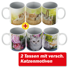 sparset_2_katzentassen