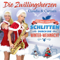 mit_dem_schlitten_durch_die_winterweihnacht