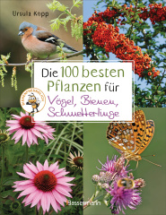 die_100_besten_pflanzen_fuer_voegel_bienen_schmetterlinge