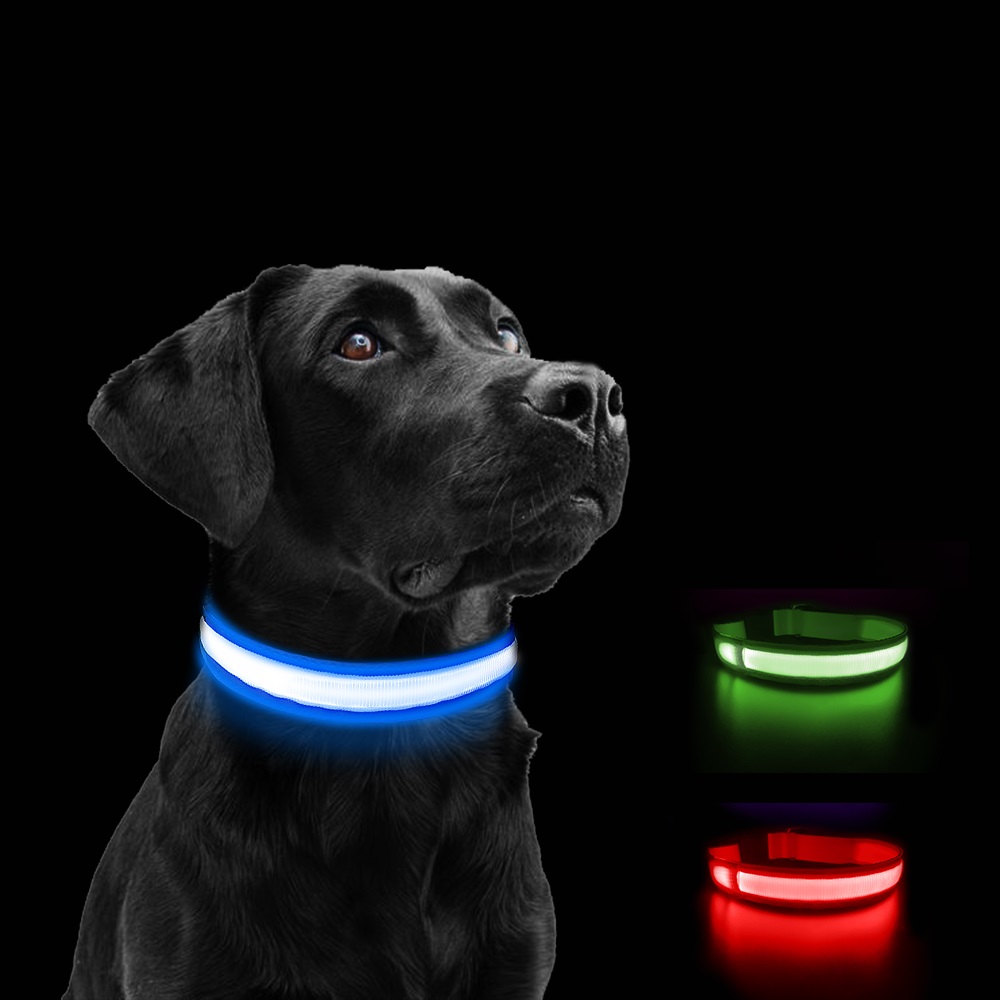 LED-Hundehalsband rot