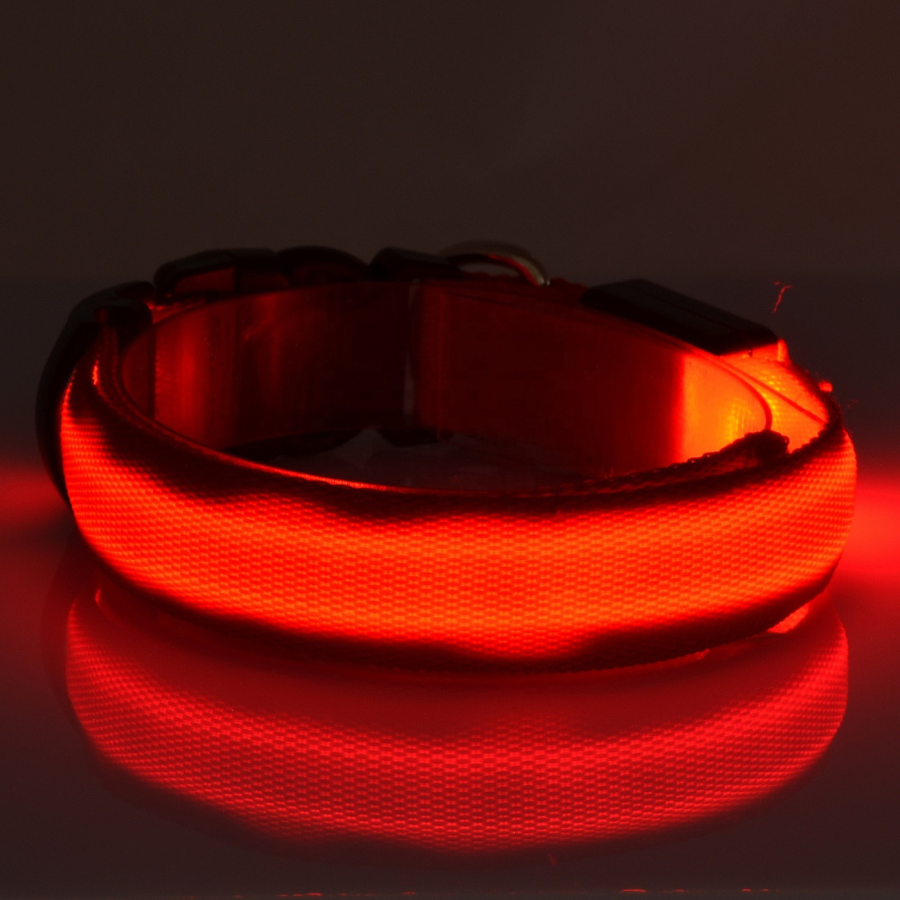 LED-Hundehalsband rot