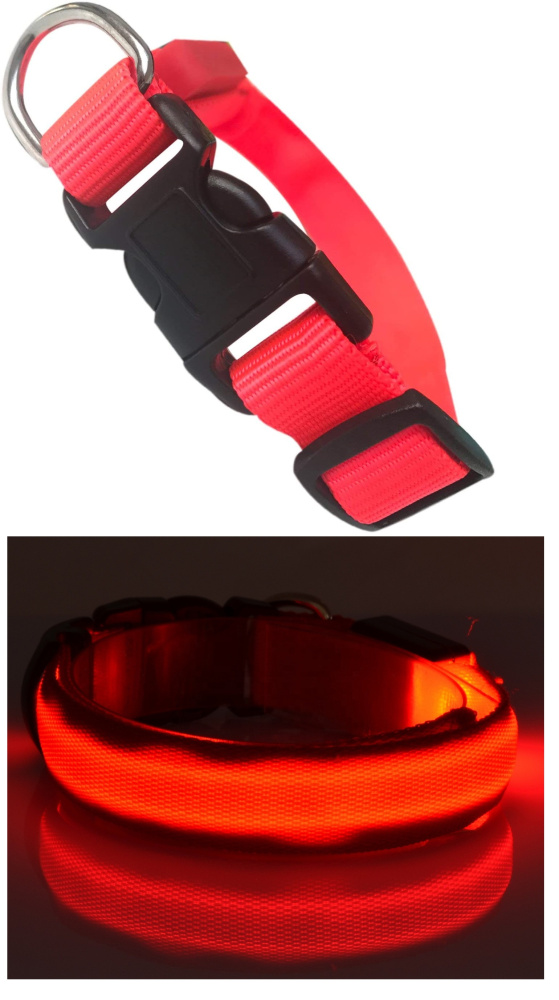 LED-Hundehalsband rot