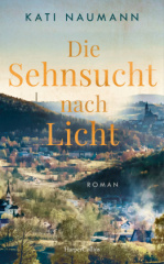 die_sehnsucht_nach_licht