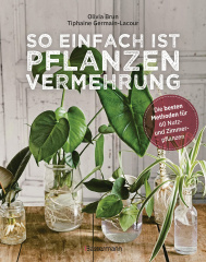 so-einfach-ist-pflanzenvermehrung
