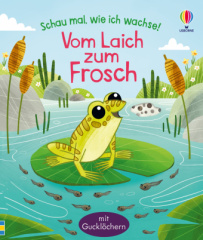 schau_mal_wie_ich_wachse_vom_laich_zum_frosch