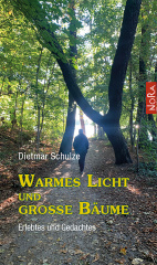 warmes_licht_und_grosse_baeume