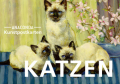 postkartenset_katzen