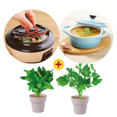 frischekuechesparpaket