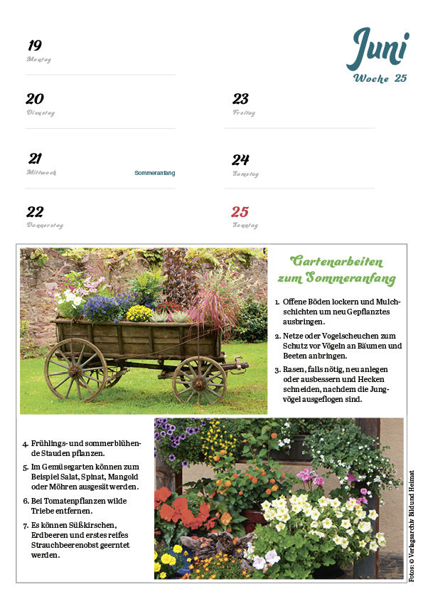 Rentnerkalender 2024