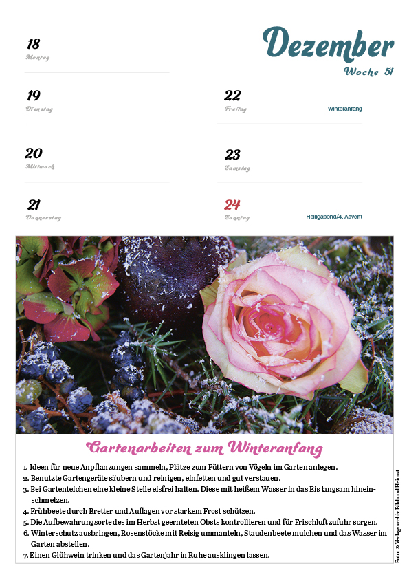 Rentnerkalender 2024