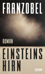 einsteins_hirn