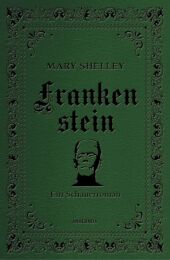Frankenstein. Ein Schauerroman