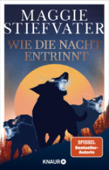 wie_die_nacht_entrinnt