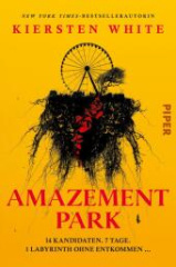 amazement-park
