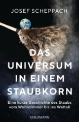 das_universum_in_einem_staubkorn