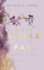 wie_die_stille_vor_dem_fall_zweites_buch_special_edition