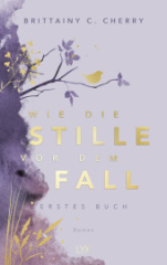 wie_die_stille_vor_dem_fall_erstes_buch_special_edition