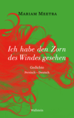 ich_habe_den_zorn_des_windes_gesehen