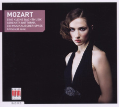 eine_kleine_nachtmusik_