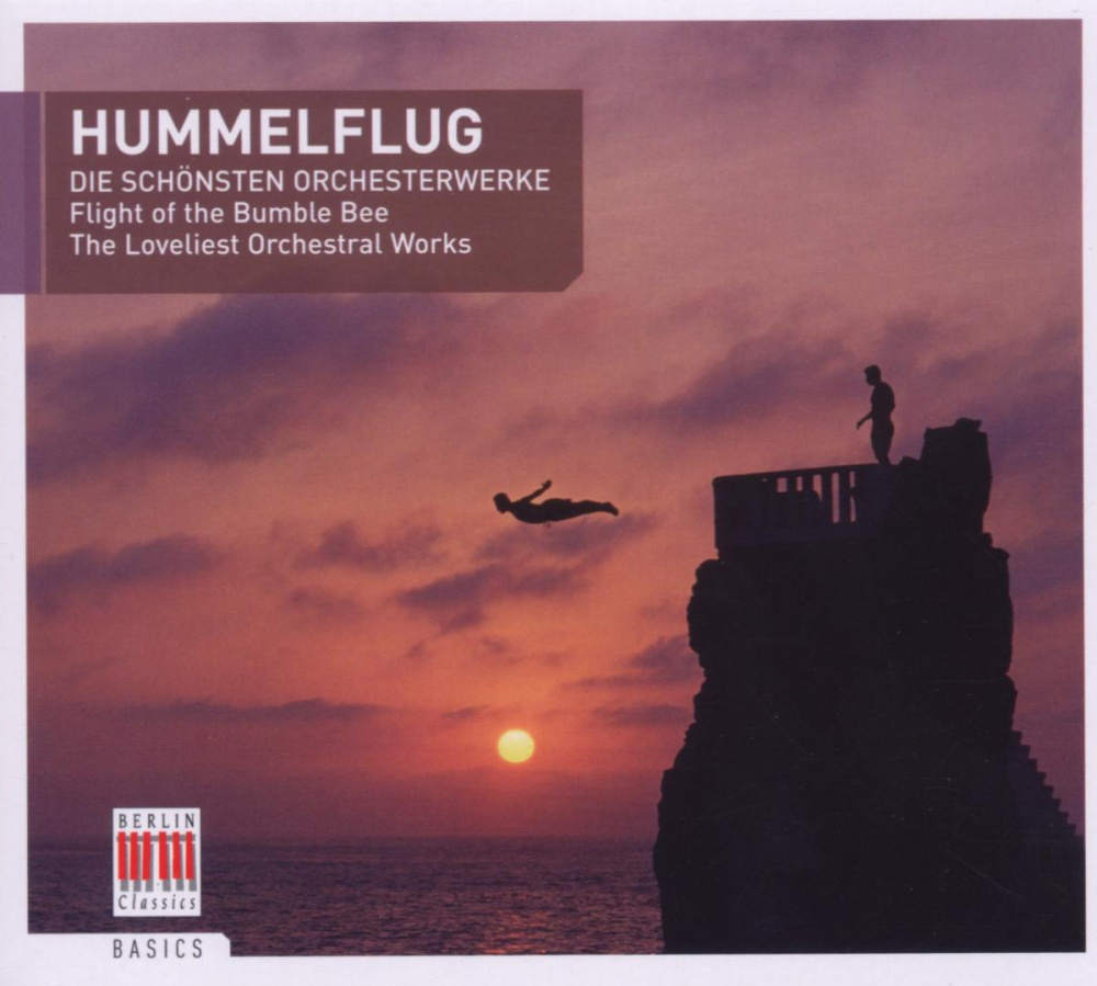 Produktabbildung: Hummelflug