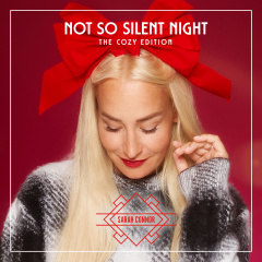 not_so_silent_night_the_cozy_edition