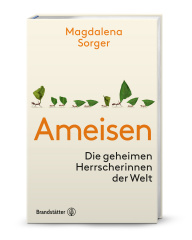 ameisen