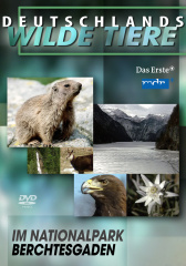 _deutschlands_wilde_tiere_im_nationalpark_berchtesgaden_