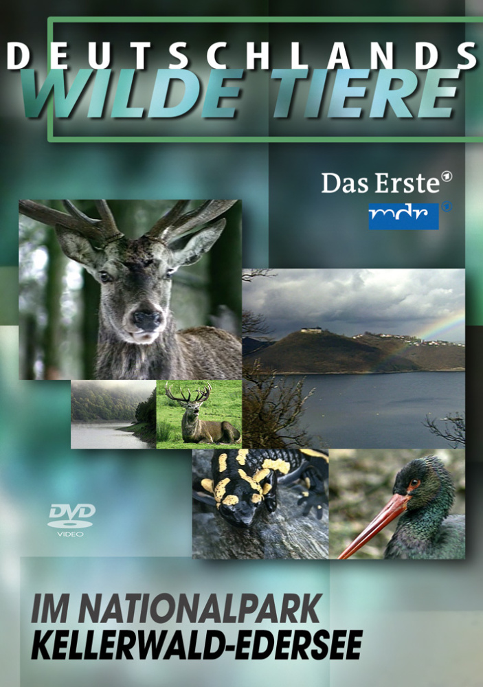  Deutschlands wilde Tiere - Im Nationalpark Kellerwald-Edersee 