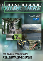 _deutschlands_wilde_tiere_im_nationalpark_kellerwaldedersee_