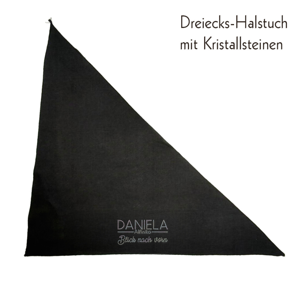 Blick nach vorn Fanbox