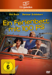 ein_ferienbett_mit_100_ps_