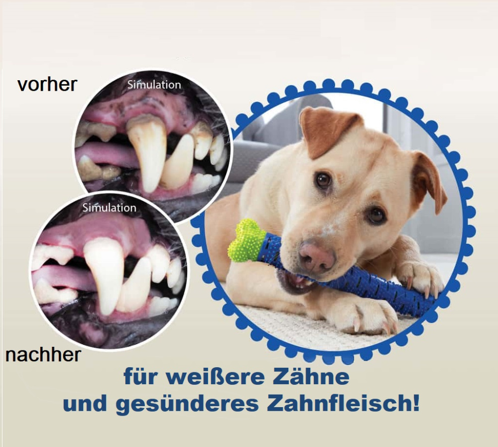 Kauspielzeug  ChewBrush - für große Hunde 