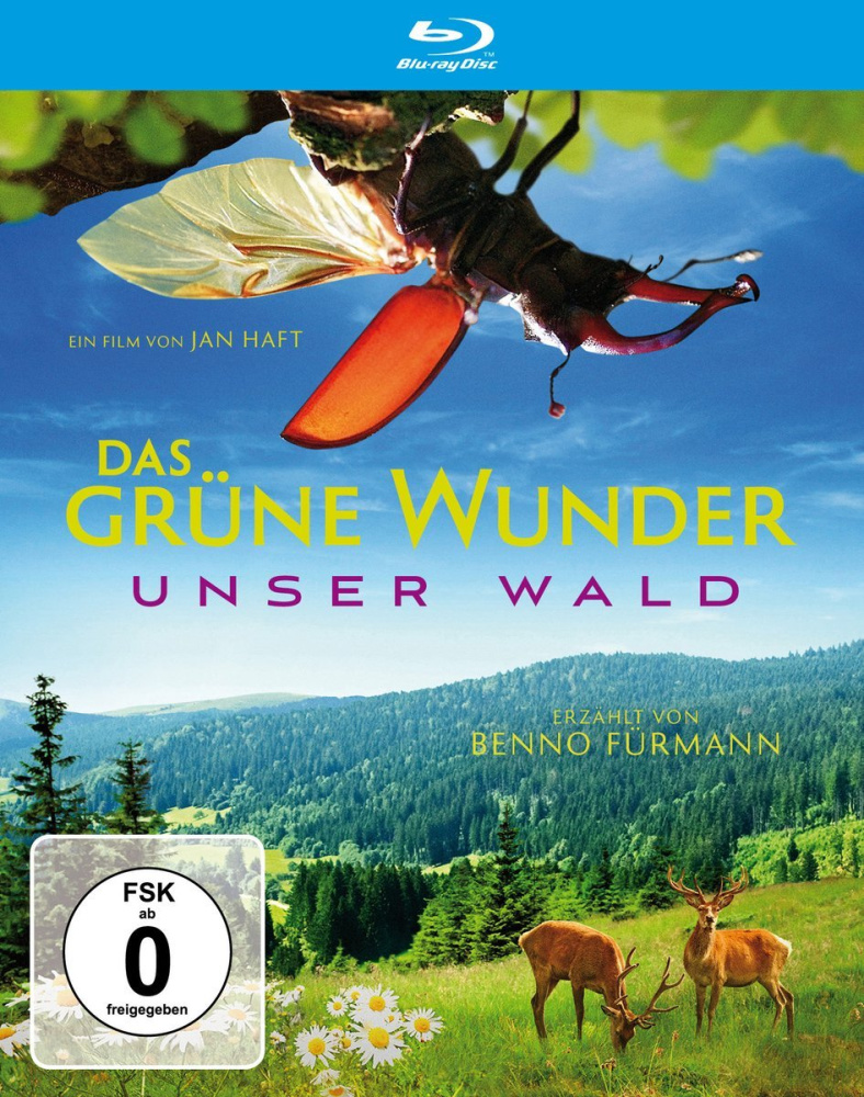 Das Grüne Wunder - Unser Wald