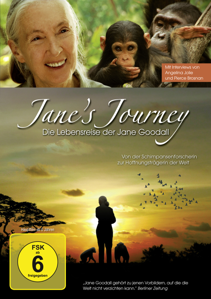 Jane's Journey