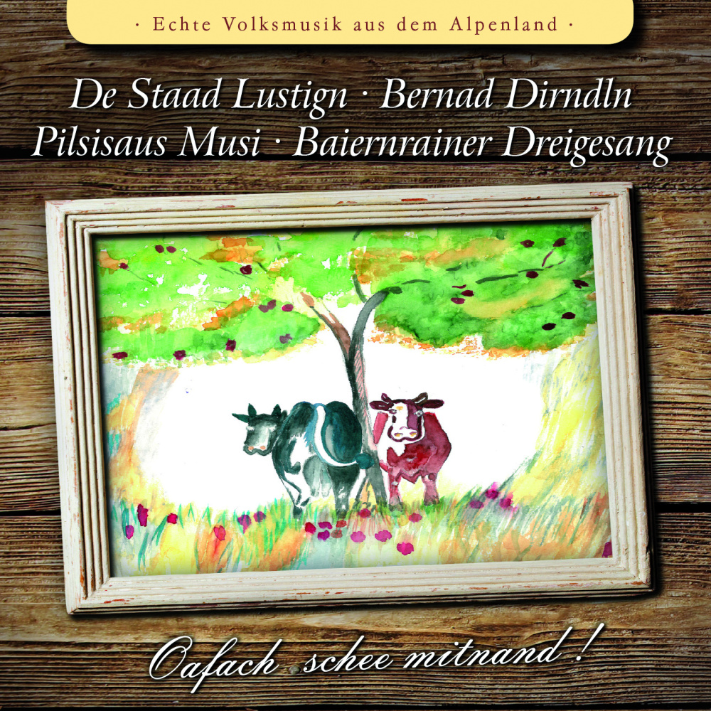 4012897157930 - De Staad Lustign - GEBRAUCHT Oafach Schee Mitnand ! - Preis vom 02062023 050629 h