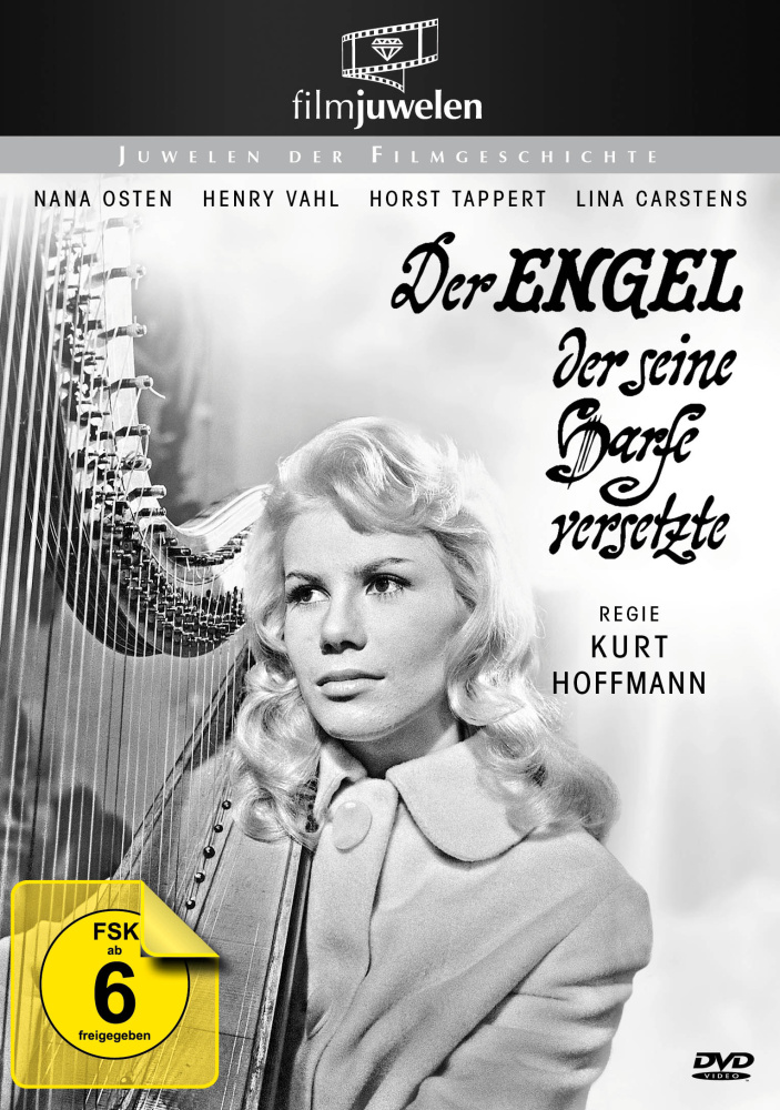 4042564148732 - Der Engel der seine Harfe versetzte (DVD)