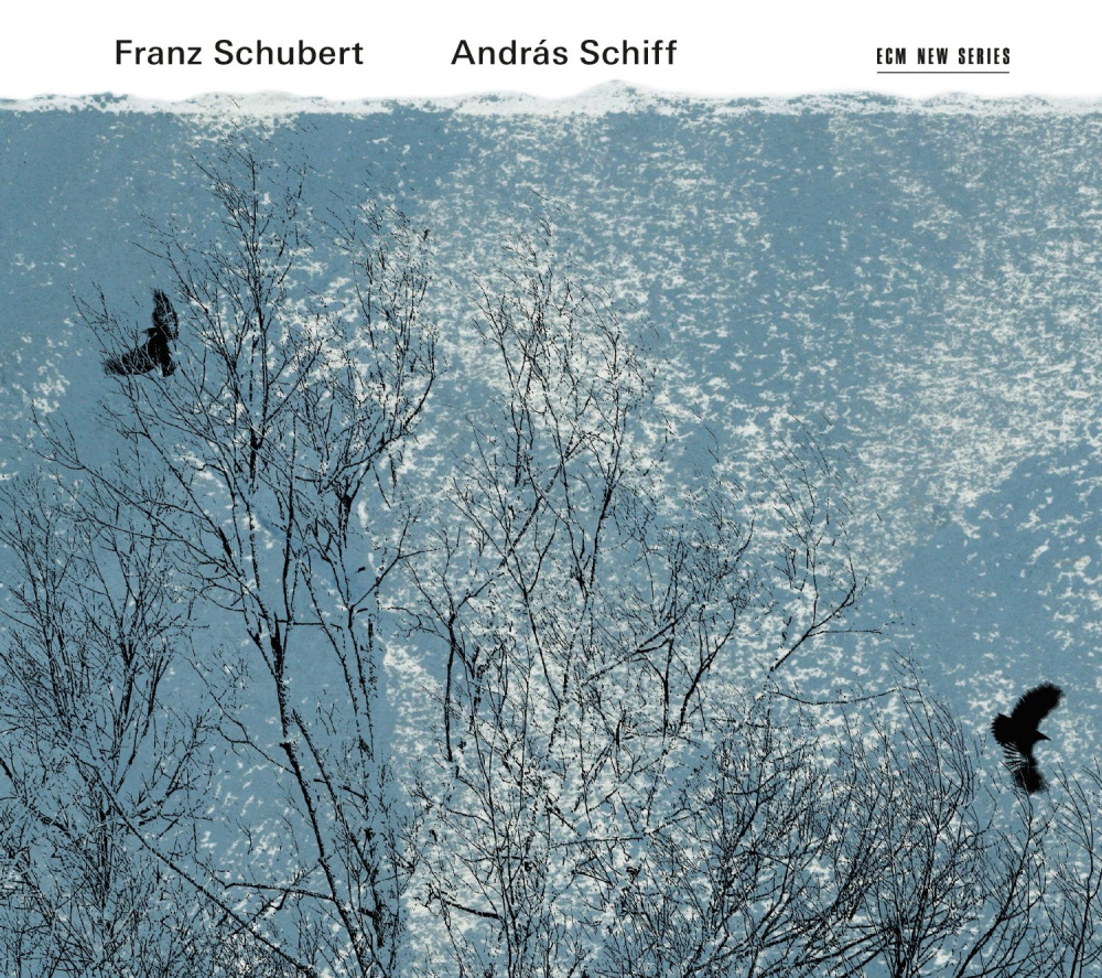 0028948115723 - Andras Schiff - GEBRAUCHT Franz Schubert - Preis vom 08062023 050526 h