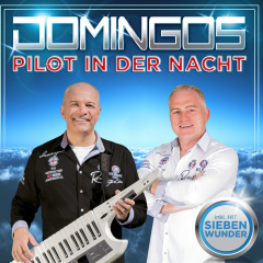 pilot_in_der_nacht