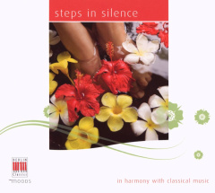 steps_in_silence