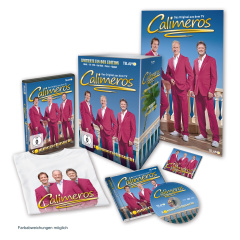 sommersehnsucht_fanbox