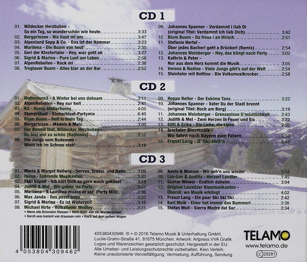 Stadl Winter, Die Party