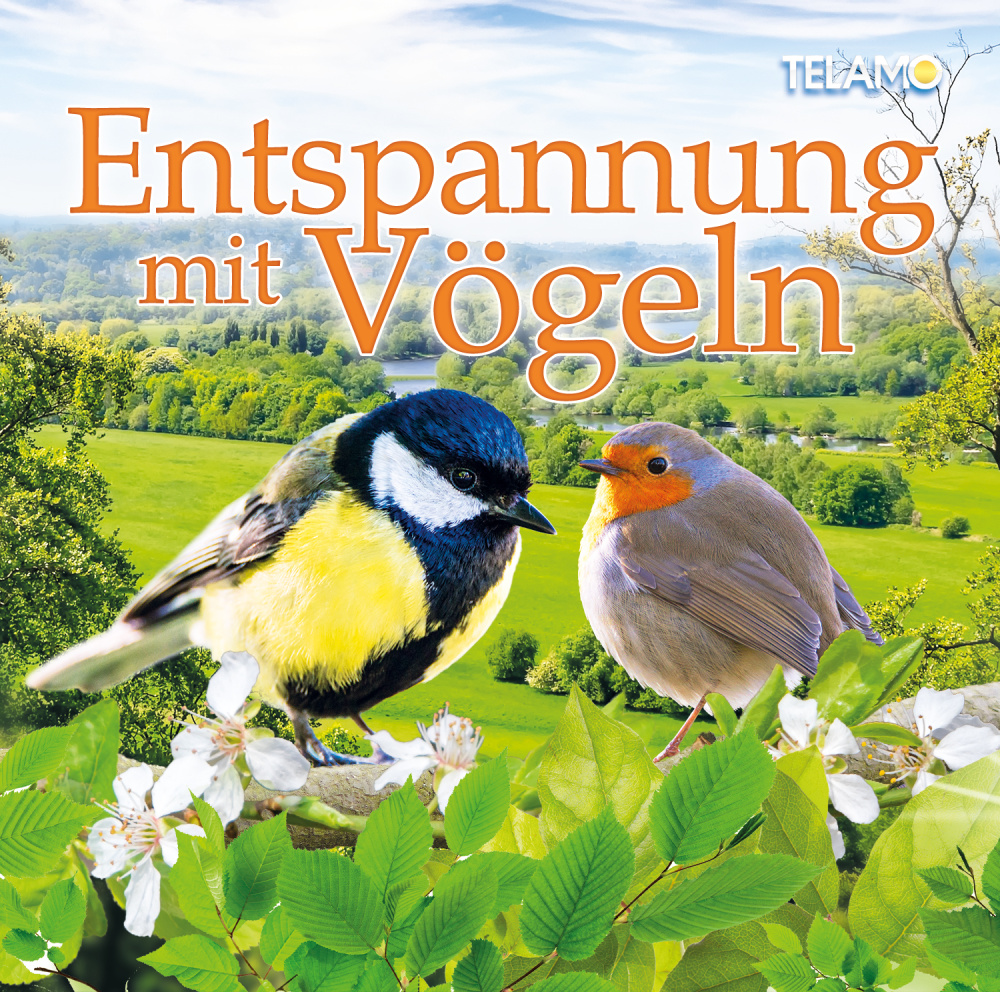 4053804313230 - Entspannung Mit Vögeln - Various (CD)