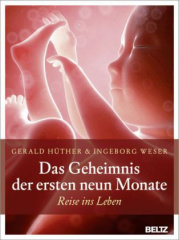 das_geheimnis_der_ersten_neun_monate
