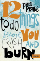 12_things_to_do_before_you_crash_and_burn