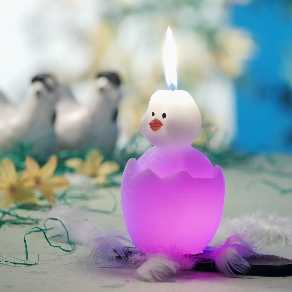 Regenbogenkerze Küken