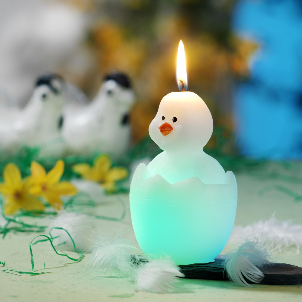 Regenbogenkerze Küken