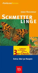 maengelexemplar_schmetterlinge_treffsicher_bestimmen_mit_dem_3ercheck