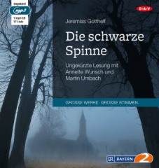 die_schwarze_spinne_1_mp3cd